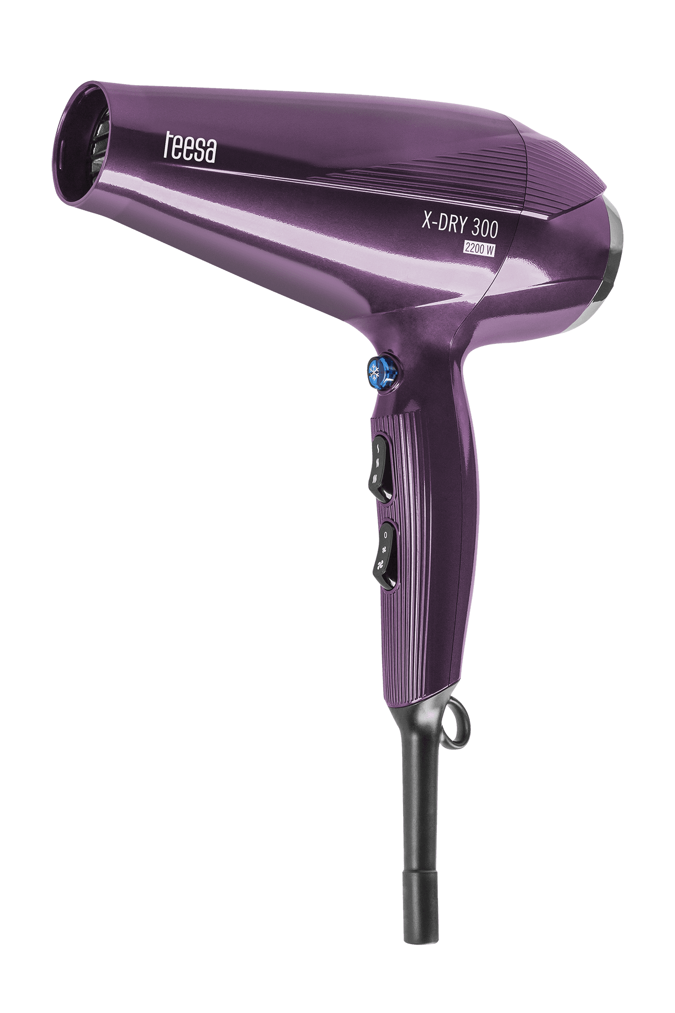 Sušilnik las Teesa X-DRY 300, 2200W, ionizacija